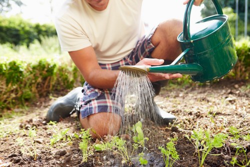 Person mowing a well-maintained lawn in Charlton