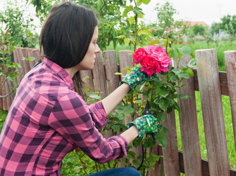 Operative performing a documented risk assessment at a residential hedge
