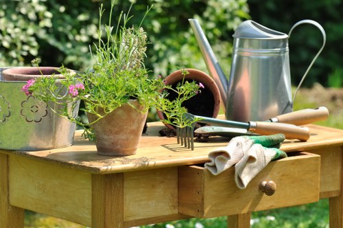 Experienced tree service professionals in Charlton