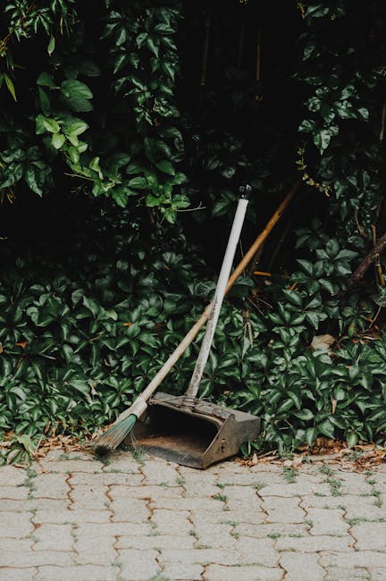 A green outdoor trash bin with a partly open lid containing crumpled paper and plastic waste, situated in a garden area with a dirt pathway and grassy lawns in the background. The bin has a blue plast