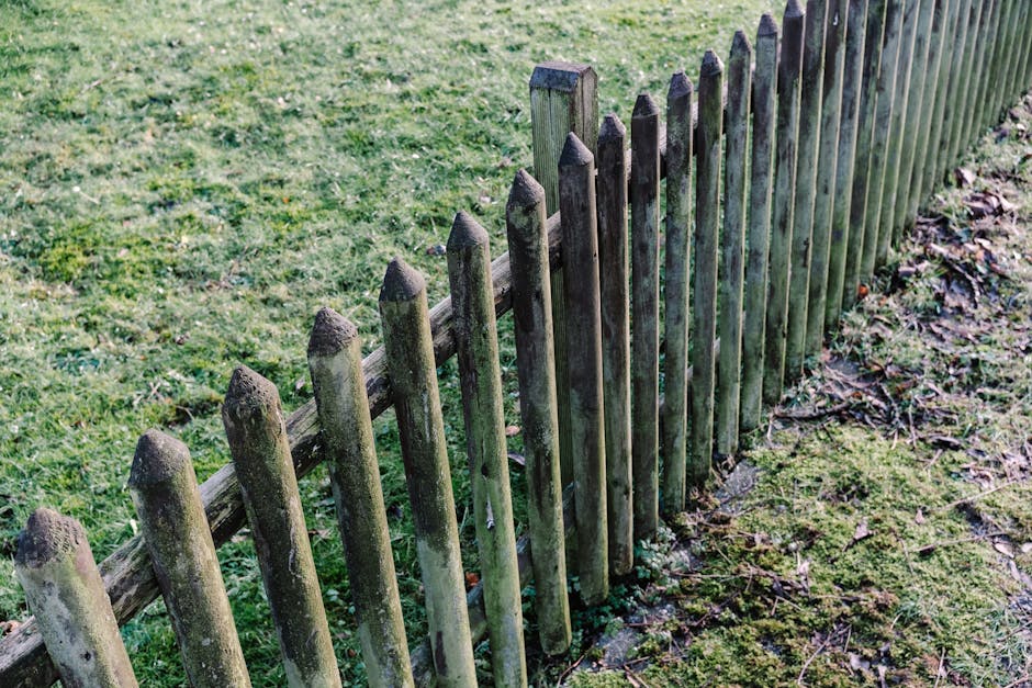 A wooden picket fence with weathered, dark-stained vertical slats runs along the edge of a small fenced garden. The slats are evenly spaced and topped with pointed tips. Behind the fence, a neatly mai